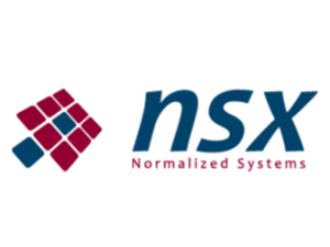nsx for RESPONSUM